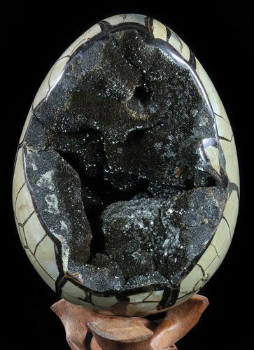 Septarian Dragon Egg Geode - Black Crystals #55487
